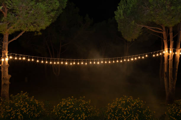 décor d'éclairage sur l'arbre - guirlande lumineuse équipement déclairage photos et images de collection