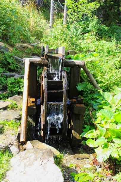 a little water mill in the woods