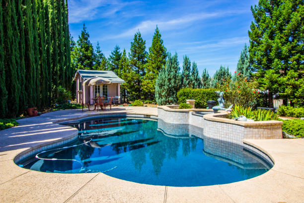 Tranquil Rear Yard Setting With Swimming Pool Tranquil Rear Yard Setting With Free Form Swimming Pool italian cypress stock pictures, royalty-free photos & images