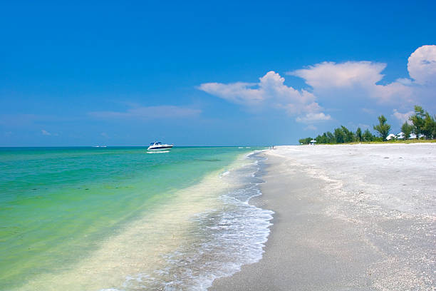 Tropical Beach - Sanibel Island  sanibel island stock pictures, royalty-free photos & images