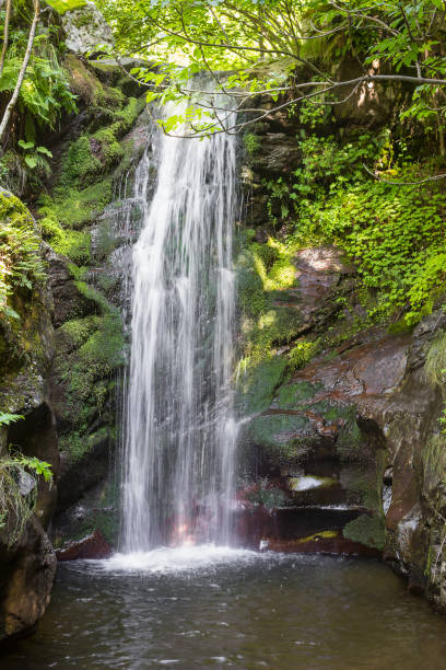 istock Wonderful mountain waterfall cascading down the moss covered cliff 1168754521
