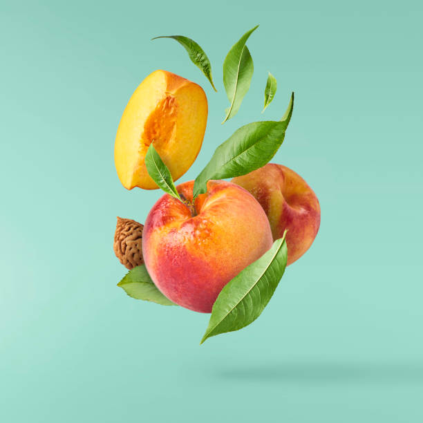 Flying fresh ripe peach with green leaves isolated Flying fresh ripe peach with green leaves isolated on turquoise background. Concept of food levitation, high resolution image peach stock pictures, royalty-free photos & images