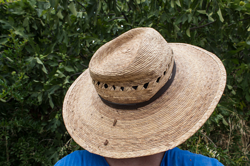 Tarım işinde çalışan işçinin arkasından çekilmiş kovboy şapkalı fotoğrafı