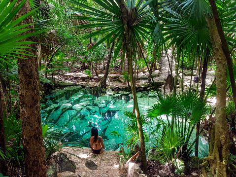 Green paradise cenote azul with palm trees and ruins at bottom of the water in the Riviera Maya, Yucatan Peninsula