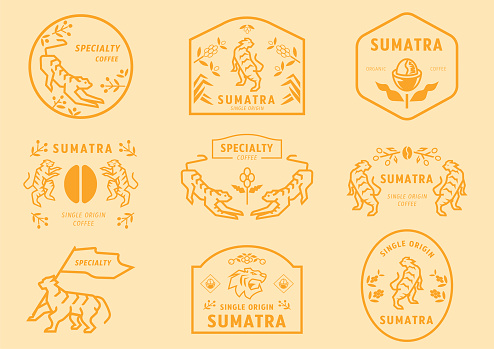 Sumatra coffee logo badge with tiger in coffee forest eating fruits ,holding flag and many manner for represent specialty coffee fom Sumatra,Indonesia.