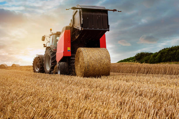 istock tractor and its trailer to press the straw 1168759253
