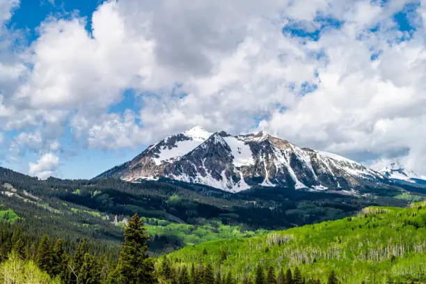 Crested Butte green trees in Kebler Pass snow peak mountain view with rocky mountains in early summer of 2019