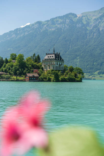 замок исельвальд у озера бриенц в швейцарии - brienz nature water lake стоковые фото и изображения