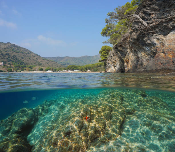 istock Spain rocky coast over under water Mediterranean 1168765611