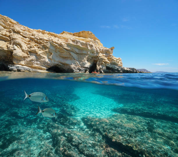 istock Spain rocky coast with fish underwater Andalusia 1168765612