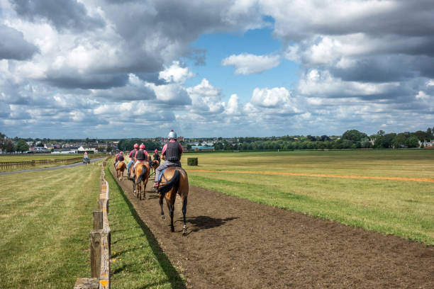 istock Newmarket gallops 1168765613