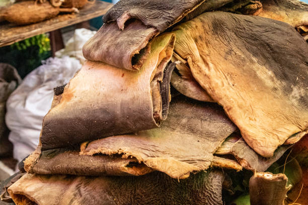 istock Fish on a market in Victoria, Seychelles 1168766900