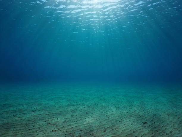 paisaje marino submarino arena marina natural luz solar - lecho del mar fotografías e imágenes de stock