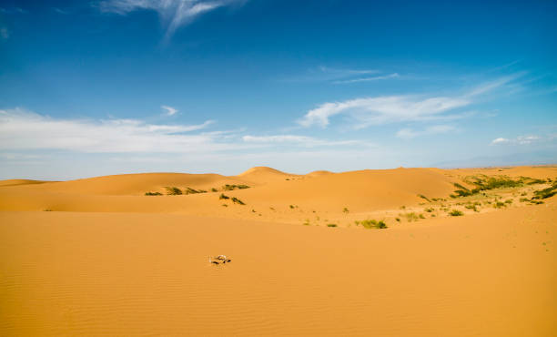 istock Sand dunes in the gobi desert 1168768315