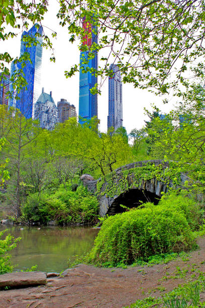 istock Central Park in spring. Manhattan. New York 1168769697
