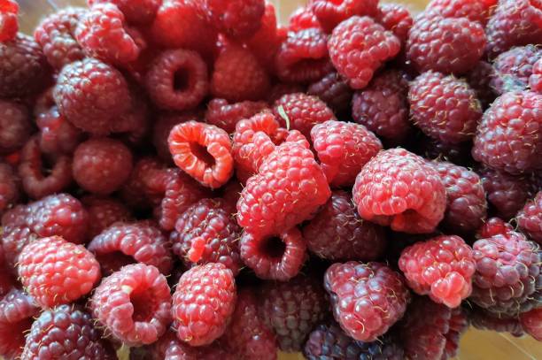 istock bunch of raspberries close up 1168769807