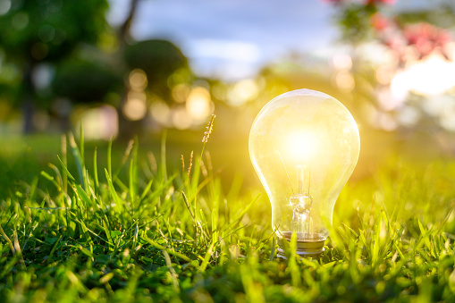 Light bulbs shining on the green grass, renewable energy and nature conservation concepts