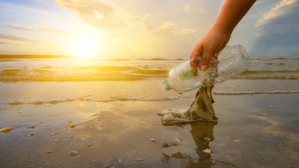 la mano sta raccogliendo spazzatura sulla spiaggia, l'idea di conservazione ambientale - trash day foto e immagini stock