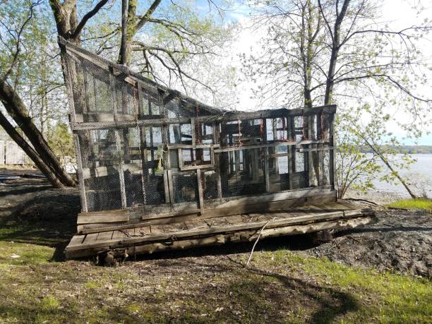 holz- und metallaal und fischfalle in der nähe von wasser - eel trap stock-fotos und bilder