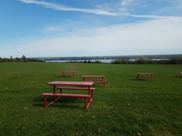 istock red picnic tables in green grass or field with river in Quebec, Canada 1168775224