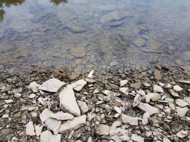 istock broken grey rocks and water at shore of river or lake 1168776402