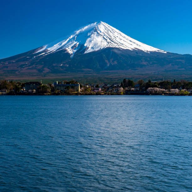 istock Mt. Fuji at kawaguchiko Fujiyoshida, Japan. 1168776764