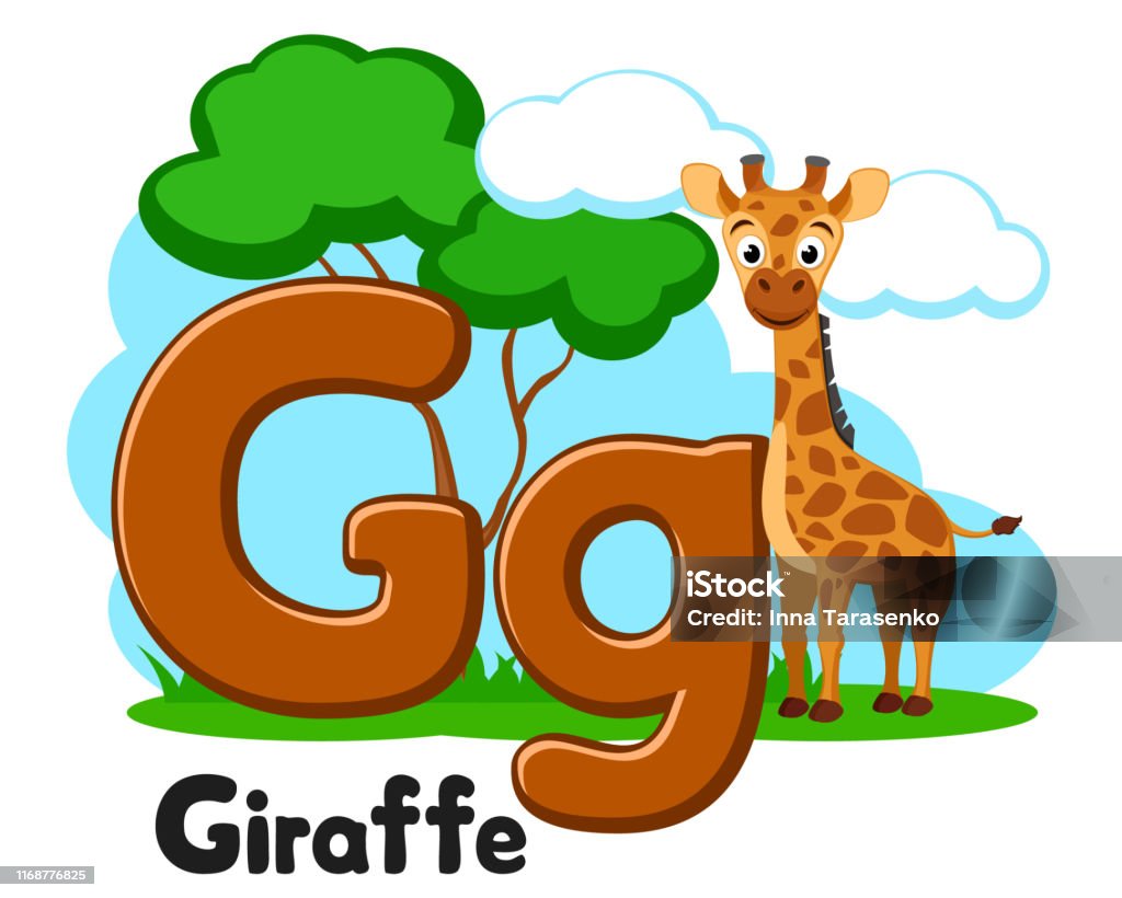 Alphabet Animal Big Giraffe Letter Gg On A White Preschool