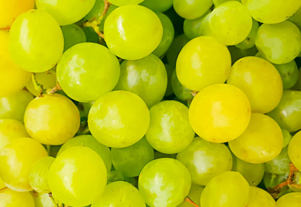istock green grapes natural food background 1168777909