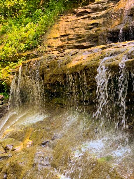 istock Nature Reserve and Summer Park 1168779013