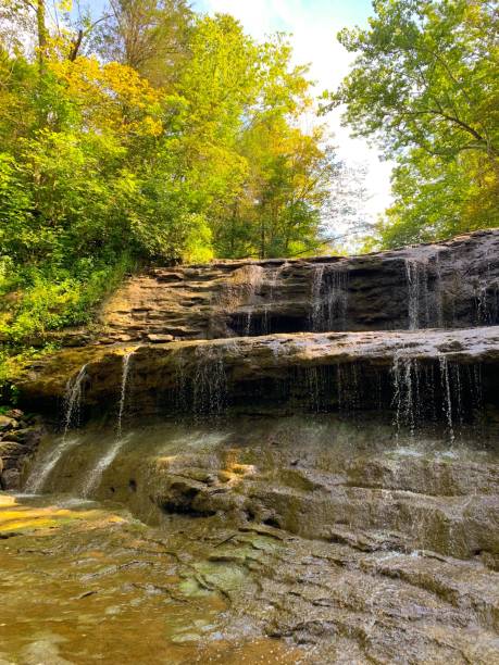 istock Nature Reserve and Summer Park 1168779024