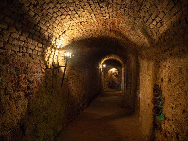 istock Abandoned ancient atmospheric spooky romantic frightening basement catacombs 1168779264