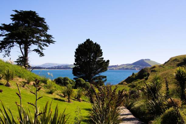 istock View over green grass and trees on path to the bay of ocean 1168780593