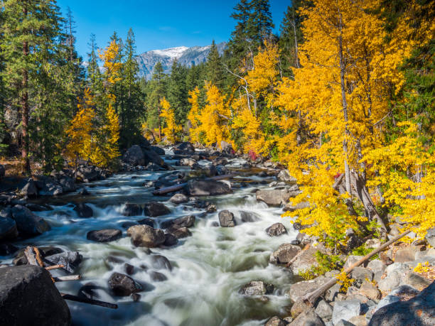 istock Wenatchee River, From Icicle Creek Rd, Washington 1168786340