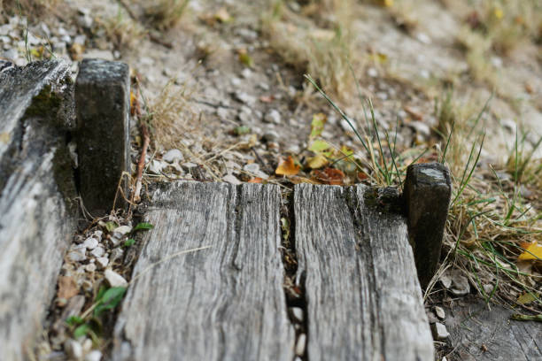 istock Champagne vines wooden steps 1168786566