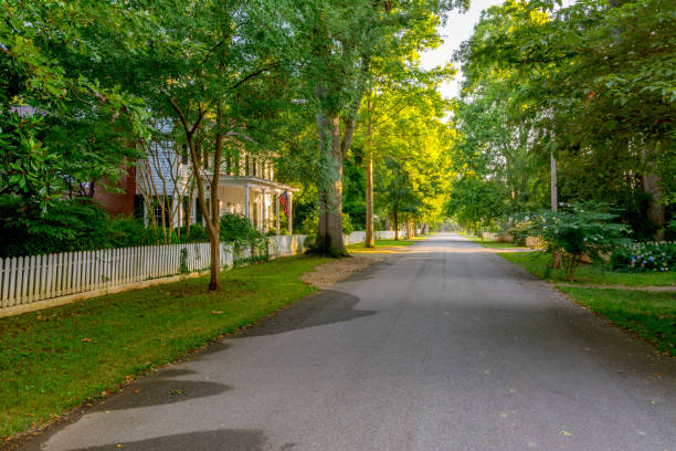istock Narrow street lines with trees in a small town 1168787966