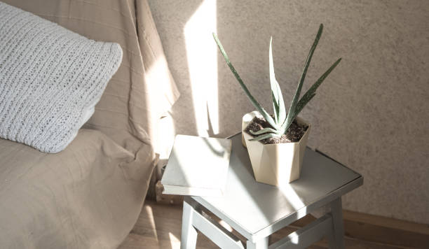 istock home chair with a beautiful flowerpot and decorative items 1168788254