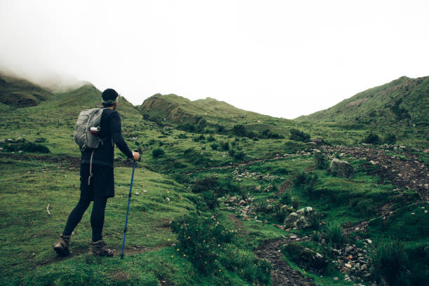 Back view of tourist dressed in active wear climbing up on green hight hill exploring wilderness nature.Traveller with backpack using trekking sticks during wanderlust on mountains Back view of tourist dressed in active wear climbing up on green hight hill exploring wilderness nature.Traveller with backpack using trekking sticks during wanderlust on mountains Sallqantay stock pictures, royalty-free photos & images