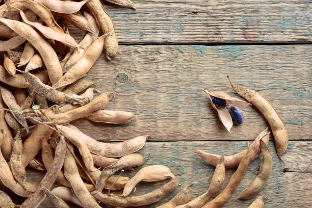 istock Dry bean pods with beans on a old wooden background . 1168791797
