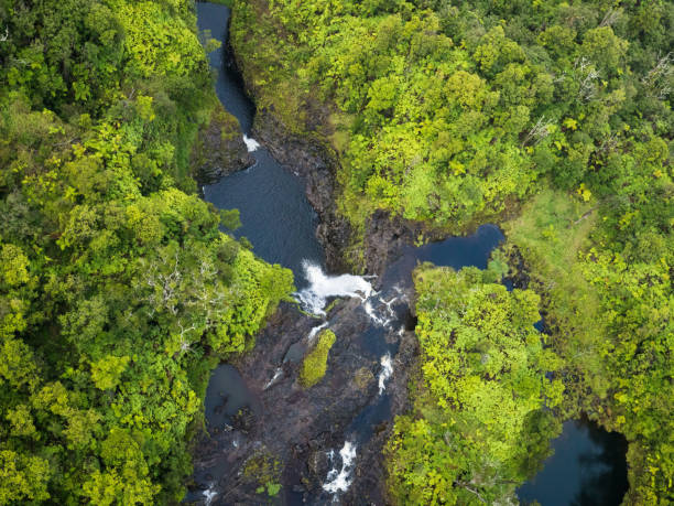 istock Hawaii Big Island Summer 2018 1168793942