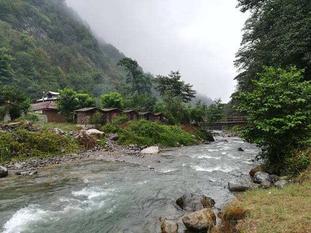 istock Ayung River passing trough the nature. 1168794859