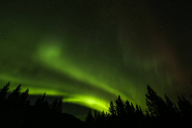 istock Aurora Borealis over Yukon Territory forest 1168795718