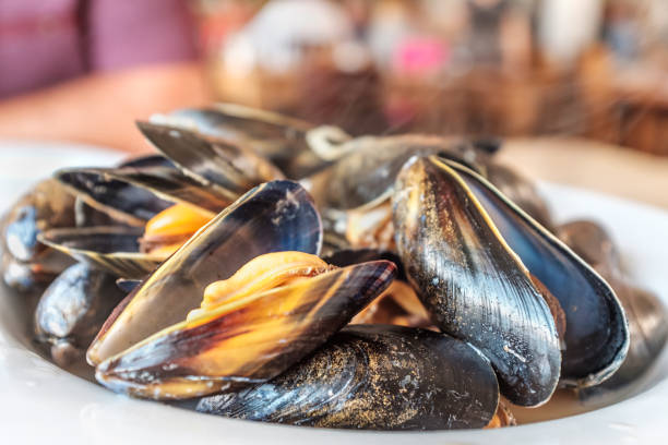 istock A dish of steaming fresh mussels in a restaurant 1168795934