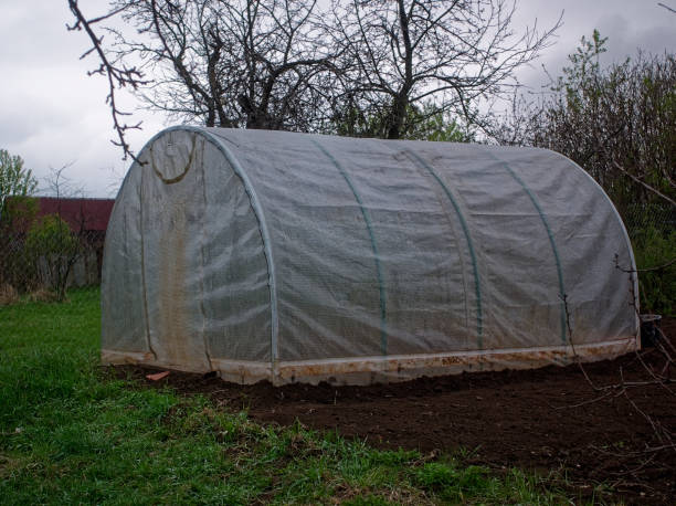 istock little greenhouse on a spring evening 1168797834