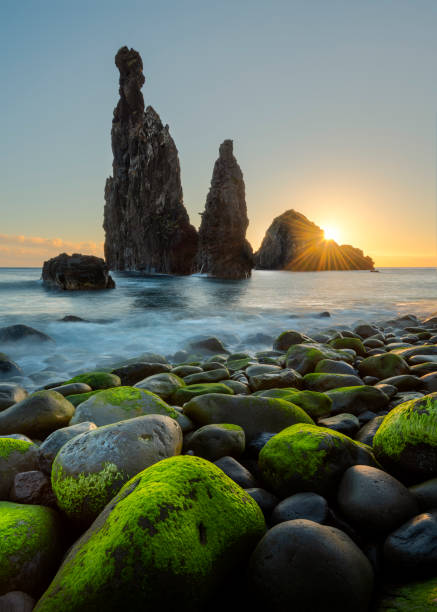 istock The Guardians on Madeira island 1168797907