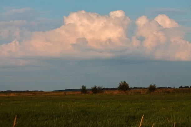 istock beautiful pink clouds over the field at sunset 1168798081