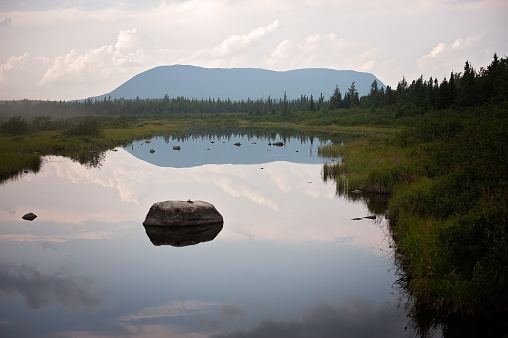 Beautiful Mountain View’s taken while traveling around first roach pond in Maine. This is called a big and it’s where the moose tend to drink and gather.