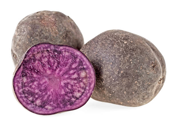 istock Fresh vitelotte potatoes isolated on a white background 1168800442