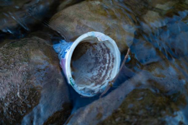 istock Plastic cup floating in the river stock photo 1168801947