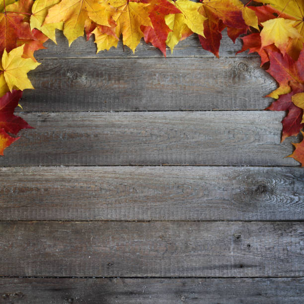 istock Autumn leaves frame on wooden background 1168802028