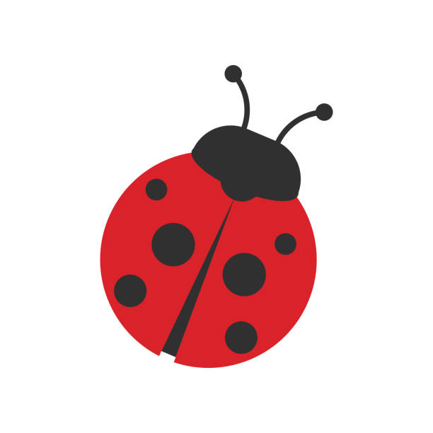 marienkäfer-symbol isoliert auf weißem hintergrund. vektor-illustration. - ladybug stock-grafiken, -clipart, -cartoons und -symbole